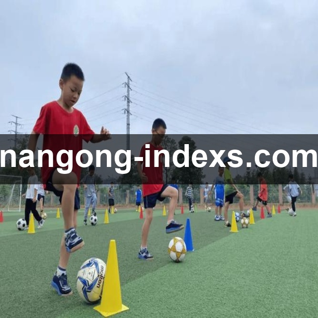 阿根廷劳塔罗阿尔瓦雷斯双前锋 跑位交叉与换位默契度分析