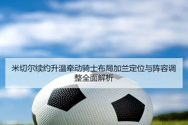 mi-qie-er-xu-yue-sheng-wen-qian-dong-qi-shi-bu-ju-jia-lan-ding-wei-yu-zhen-rong-tiao-zheng-quan-mian-jie-xi-2-538.jpg