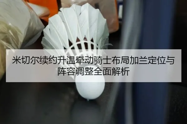 mi-qie-er-xu-yue-sheng-wen-qian-dong-qi-shi-bu-ju-jia-lan-ding-wei-yu-zhen-rong-tiao-zheng-quan-mian-jie-xi-1-539.jpg